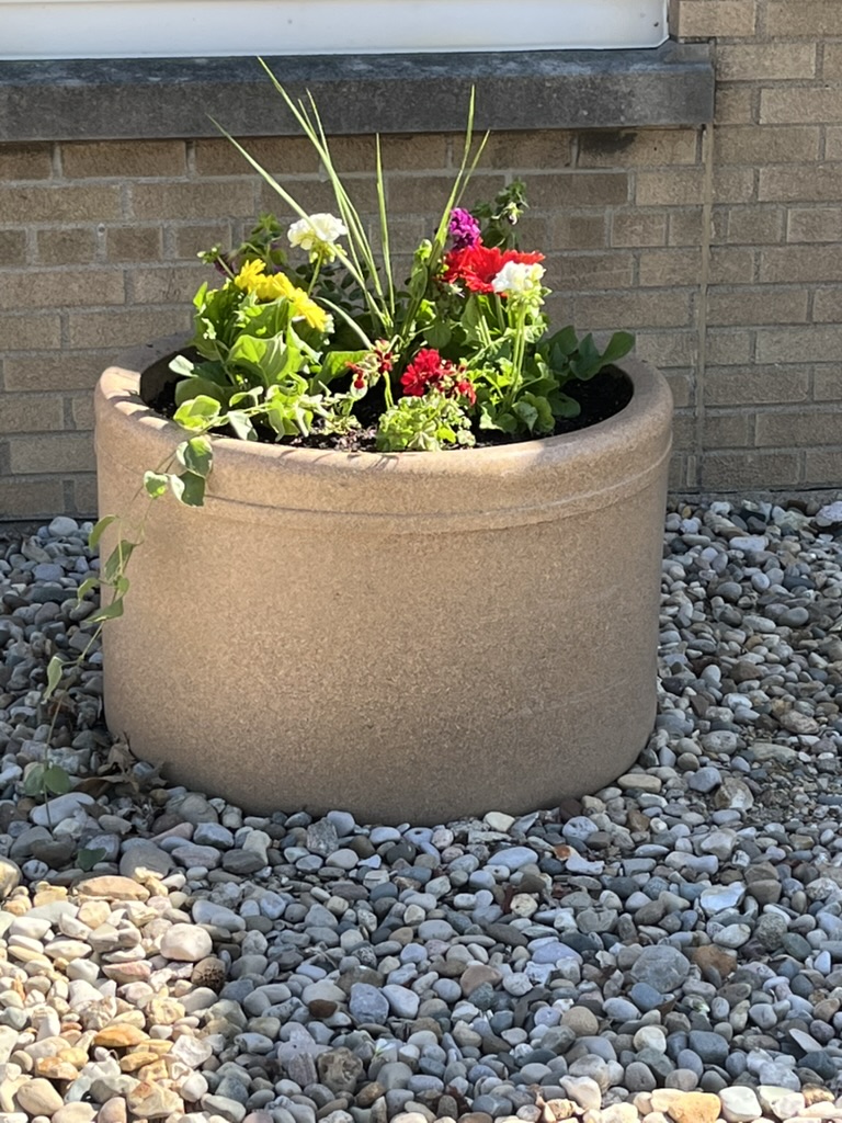 Garden photo